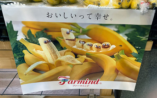 LE